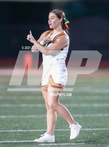 Thumbnail 2 in Ironwood Ridge @ Campo Verde photogallery.