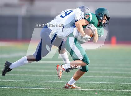 Thumbnail 2 in Ironwood Ridge @ Campo Verde photogallery.