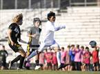 Photo from the gallery "Panther Creek @ Apex"