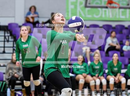 Thumbnail 3 in Tioga @ Bonham photogallery.