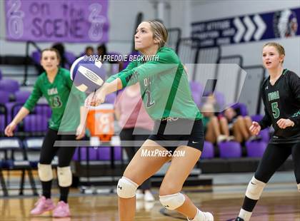 Thumbnail 3 in Tioga @ Bonham photogallery.
