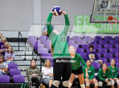 Thumbnail 3 in Tioga @ Bonham photogallery.