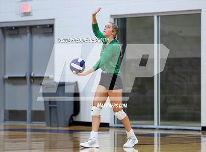 Thumbnail 1 in Tioga @ Bonham photogallery.