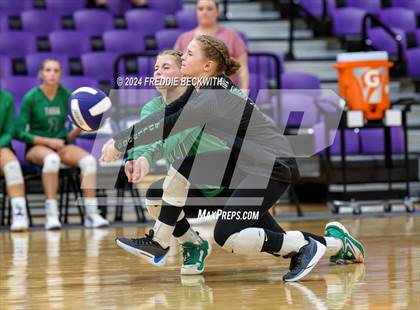 Thumbnail 3 in Tioga @ Bonham photogallery.