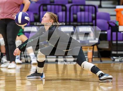 Thumbnail 3 in Tioga @ Bonham photogallery.
