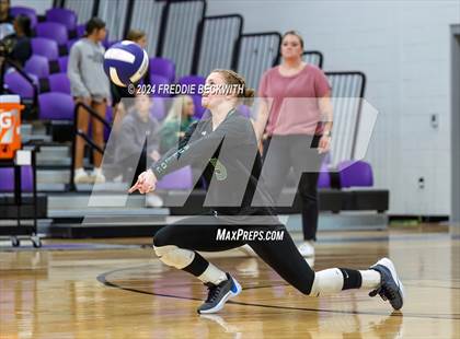 Thumbnail 2 in Tioga @ Bonham photogallery.