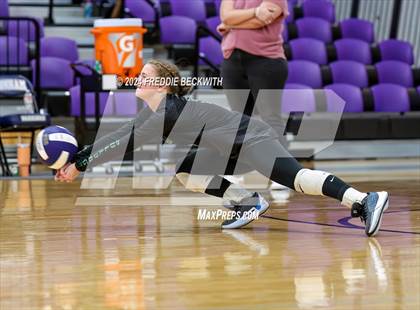 Thumbnail 3 in Tioga @ Bonham photogallery.