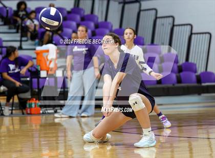 Thumbnail 3 in Tioga @ Bonham photogallery.
