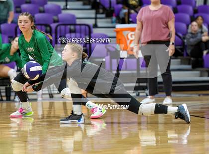 Thumbnail 3 in Tioga @ Bonham photogallery.