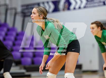 Thumbnail 1 in Tioga @ Bonham photogallery.