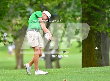 Thumbnail 1 in IHSAA Section 19 Final photogallery.
