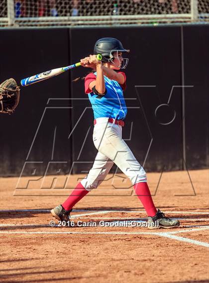Thumbnail 3 in Princeton vs. North Stanly (NCHSAA 1A Final, Game 1) photogallery.