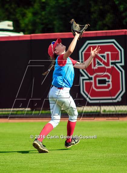 Thumbnail 3 in Princeton vs. North Stanly (NCHSAA 1A Final, Game 1) photogallery.