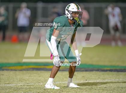 Thumbnail 3 in Liberty @ Basha photogallery.