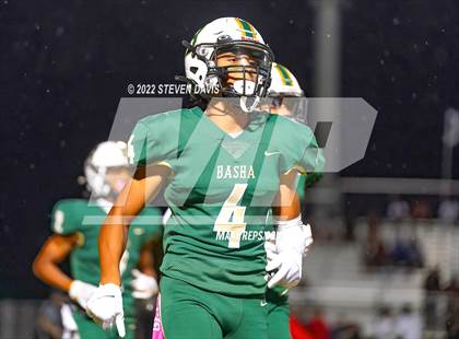 Thumbnail 3 in Liberty @ Basha photogallery.