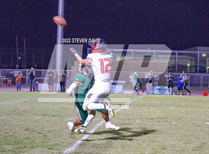 Thumbnail 2 in Liberty @ Basha photogallery.