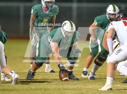 Thumbnail 3 in Liberty @ Basha photogallery.