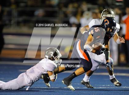 Thumbnail 2 in Crespi @  Chaminade photogallery.