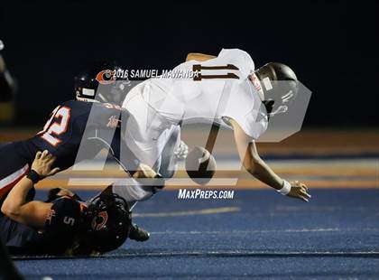 Thumbnail 2 in Crespi @  Chaminade photogallery.