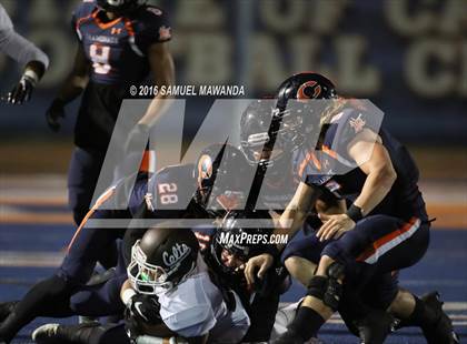 Thumbnail 2 in Crespi @  Chaminade photogallery.