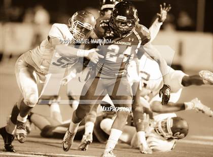 Thumbnail 2 in Crespi @  Chaminade photogallery.