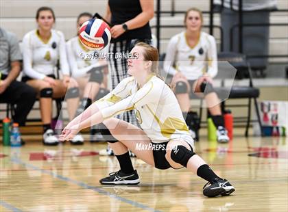 Thumbnail 1 in Arapahoe @ Ponderosa photogallery.