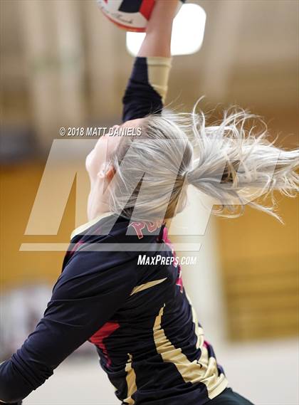 Thumbnail 1 in Arapahoe @ Ponderosa photogallery.