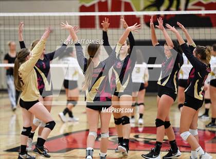 Thumbnail 1 in Arapahoe @ Ponderosa photogallery.