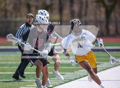 Thumbnail 1 in Clarke @ Uniondale photogallery.