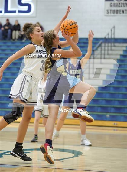 Thumbnail 3 in FR: Westlake @ Copper Hills photogallery.