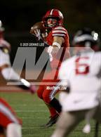 Photo from the gallery "Antelope @ Cordova"