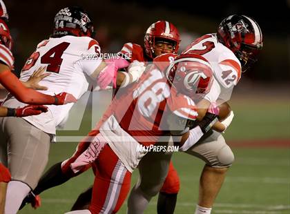 Thumbnail 1 in Antelope @ Cordova photogallery.