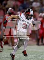 Photo from the gallery "Antelope @ Cordova"