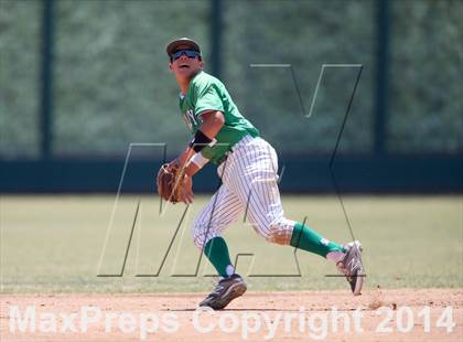 Thumbnail 2 in St. Mary's vs. Davis (CIF SJS D1 Final - Game 2) photogallery.