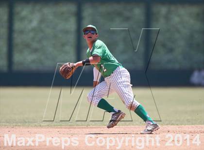 Thumbnail 1 in St. Mary's vs. Davis (CIF SJS D1 Final - Game 2) photogallery.