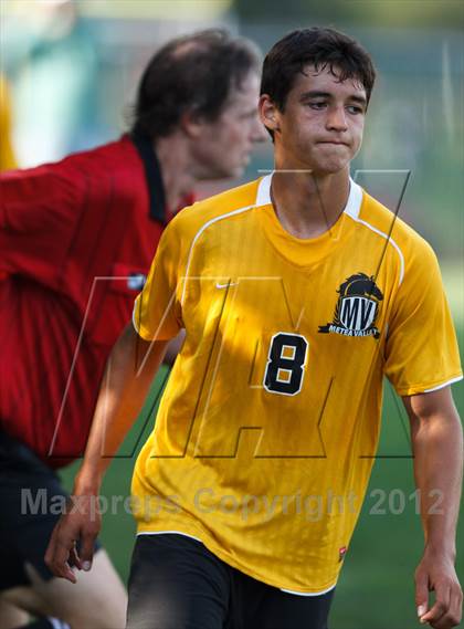 Thumbnail 1 in Metea Valley @ Hinsdale Central photogallery.