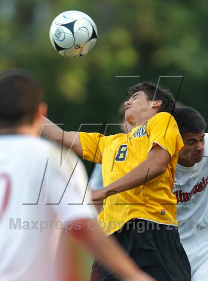 Thumbnail 3 in Metea Valley @ Hinsdale Central photogallery.