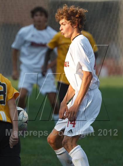 Thumbnail 3 in Metea Valley @ Hinsdale Central photogallery.