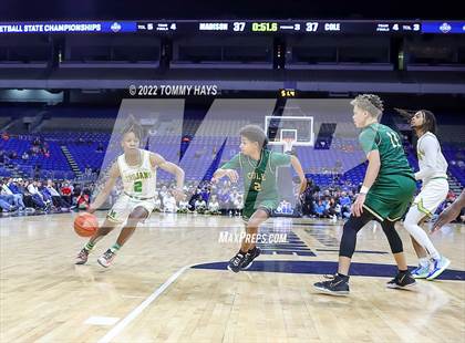 Thumbnail 1 in Madison vs. Cole (UIL 3A State Final) photogallery.