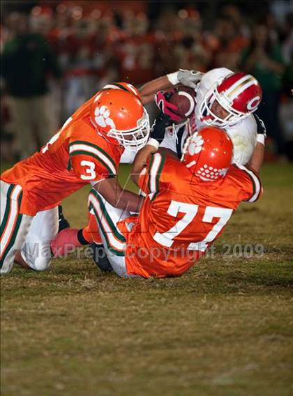 Thumbnail 1 in Corona vs. Poly photogallery.