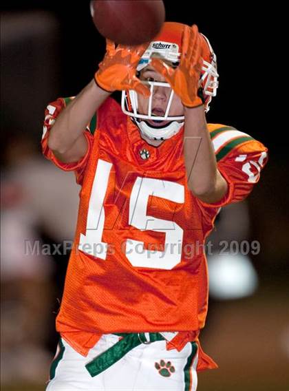 Thumbnail 2 in Corona vs. Poly photogallery.
