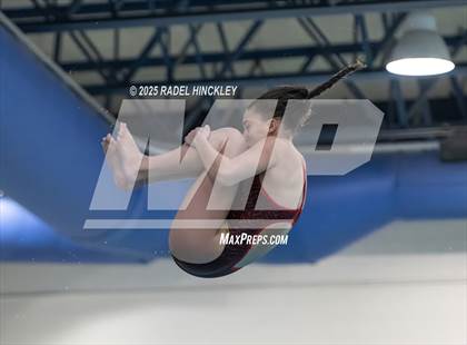 Thumbnail 2 in GKC Suburban Conference Dive Championships photogallery.