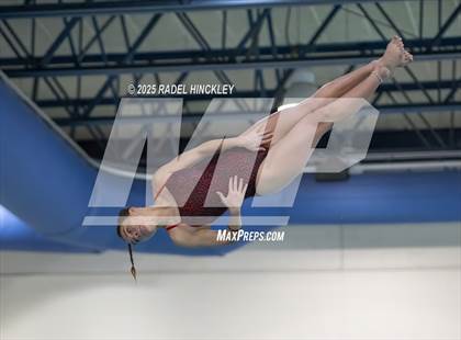 Thumbnail 3 in GKC Suburban Conference Dive Championships photogallery.