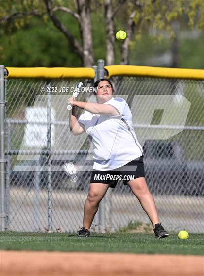Thumbnail 2 in Lee vs MacArthur [Douglas] photogallery.
