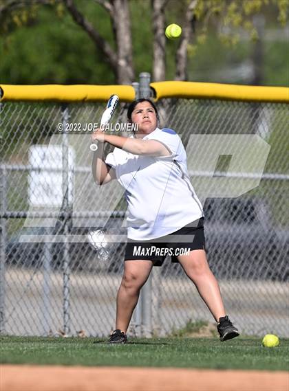Thumbnail 3 in Lee vs MacArthur [Douglas] photogallery.