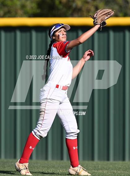 Thumbnail 3 in Lee vs MacArthur [Douglas] photogallery.