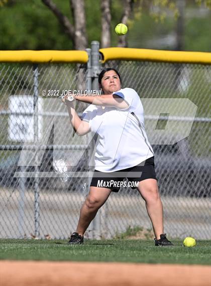 Thumbnail 3 in Lee vs MacArthur [Douglas] photogallery.