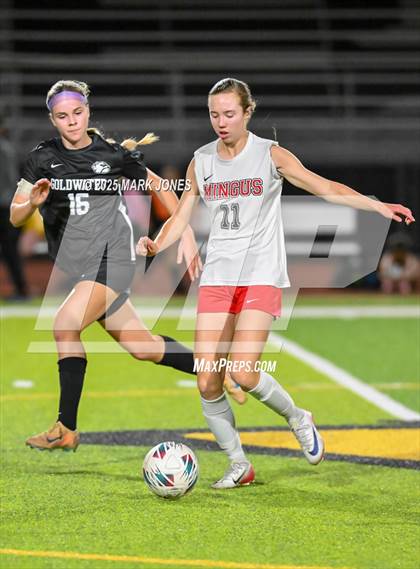 Thumbnail 2 in Mingus @ Goldwater photogallery.