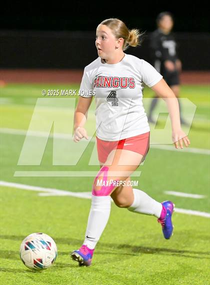 Thumbnail 1 in Mingus @ Goldwater photogallery.