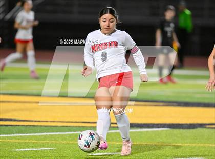 Thumbnail 1 in Mingus @ Goldwater photogallery.